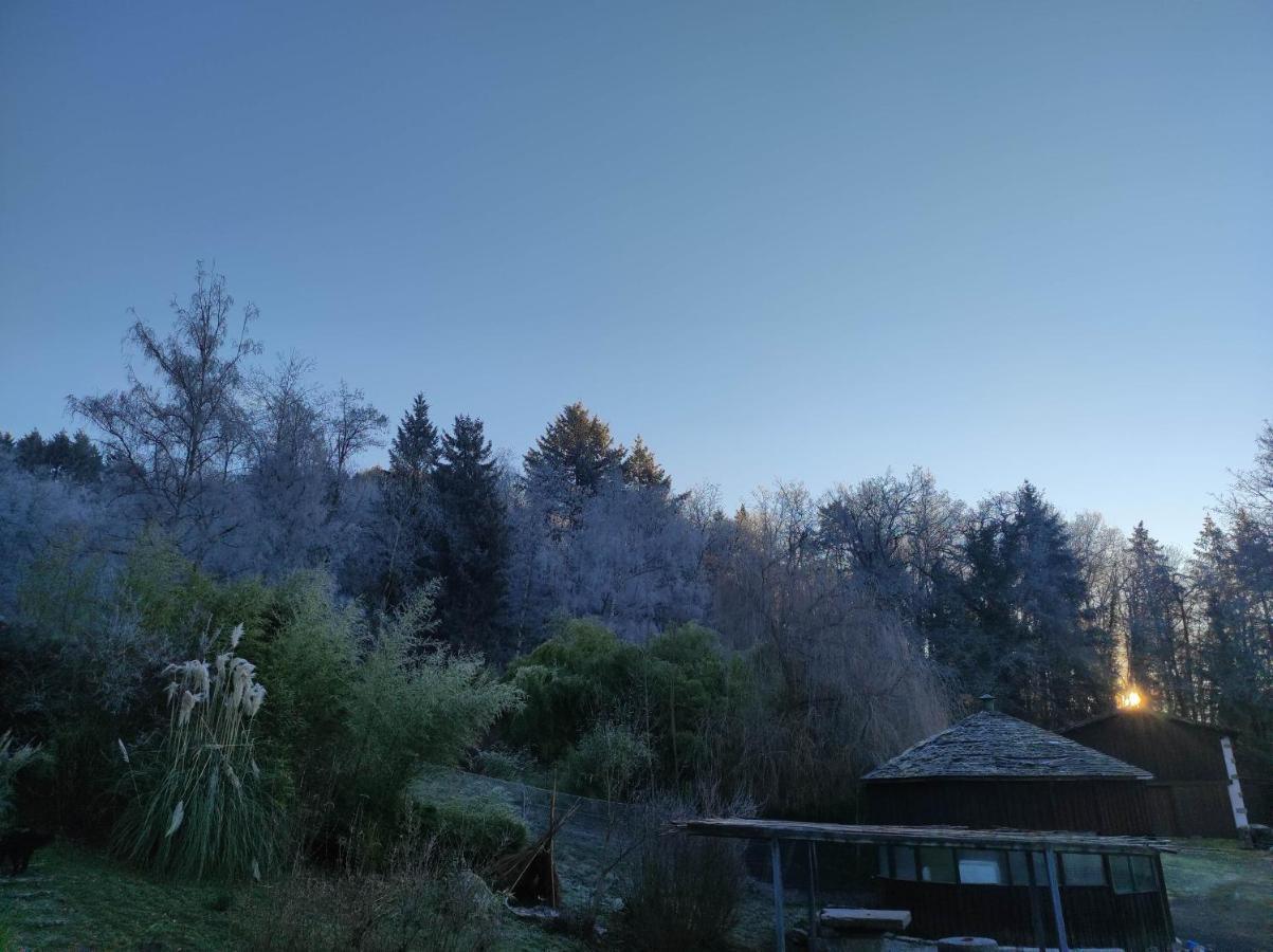 L'Oree Des Bois Courpiere Extérieur photo