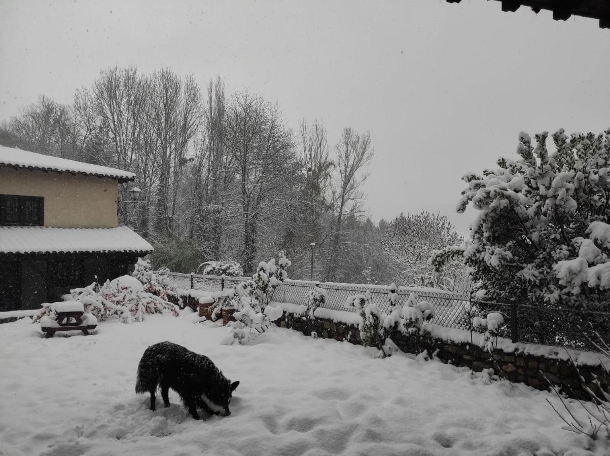 L'Oree Des Bois Courpiere Extérieur photo